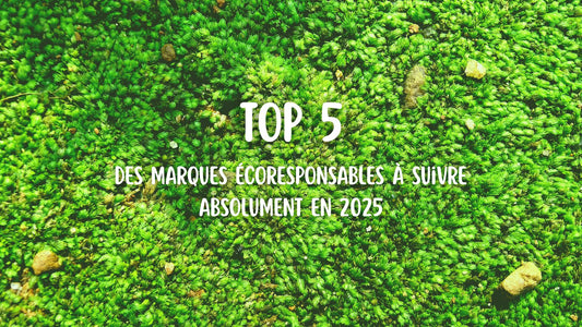 Les 5 marques écoresponsables à suivre absolument en 2025