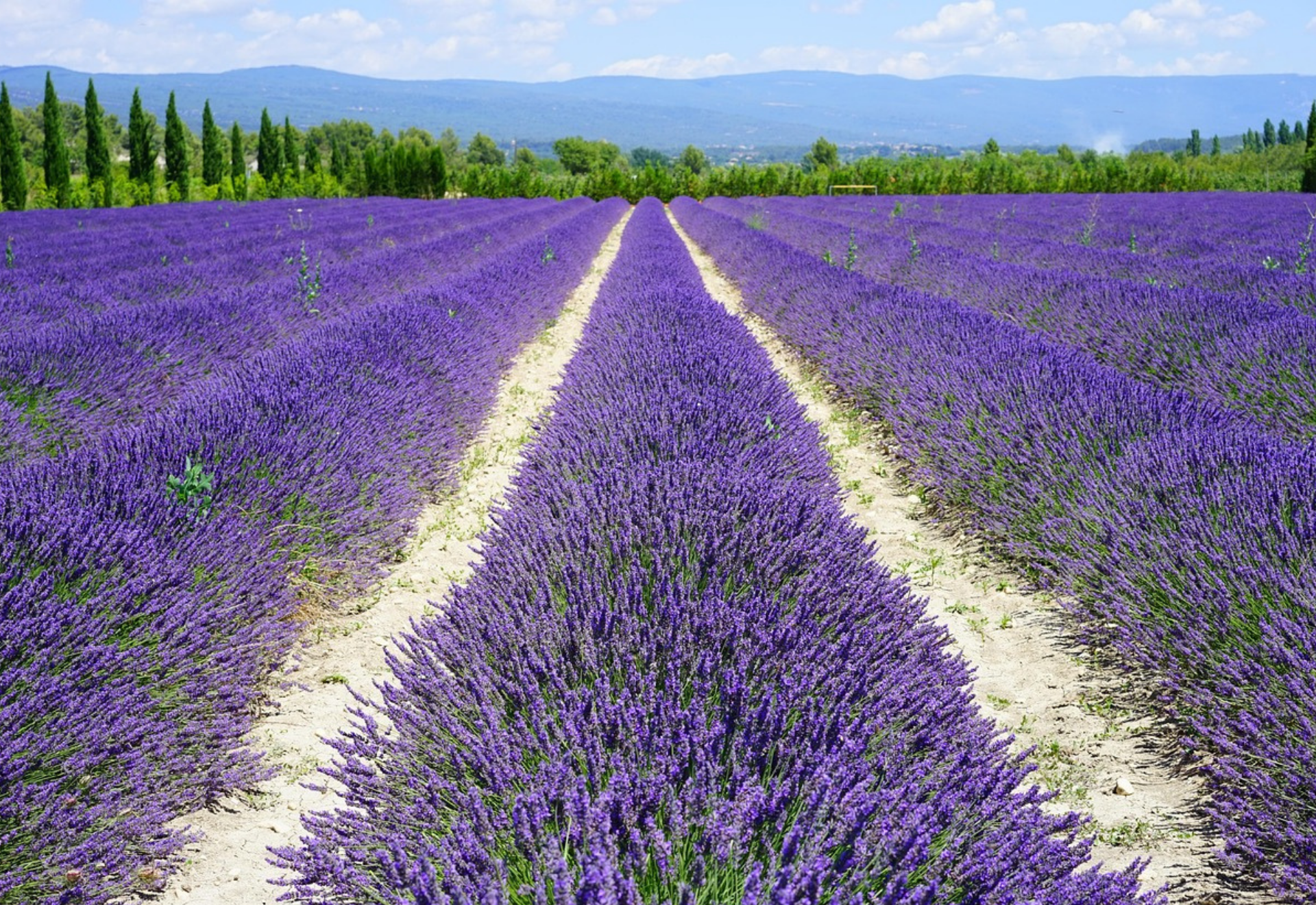 Découvrez une sélection variée de compléments pensée pour accompagner vos routines et vos moments de bien-être. Qu’il s’agisse d’un petit coup de boost, d’un soutien pour votre énergie ou simplement d’un complément pratique à intégrer à votre quotidien, cette sélection est là pour vous offrir simplicité et plaisir.         greenecco.fr