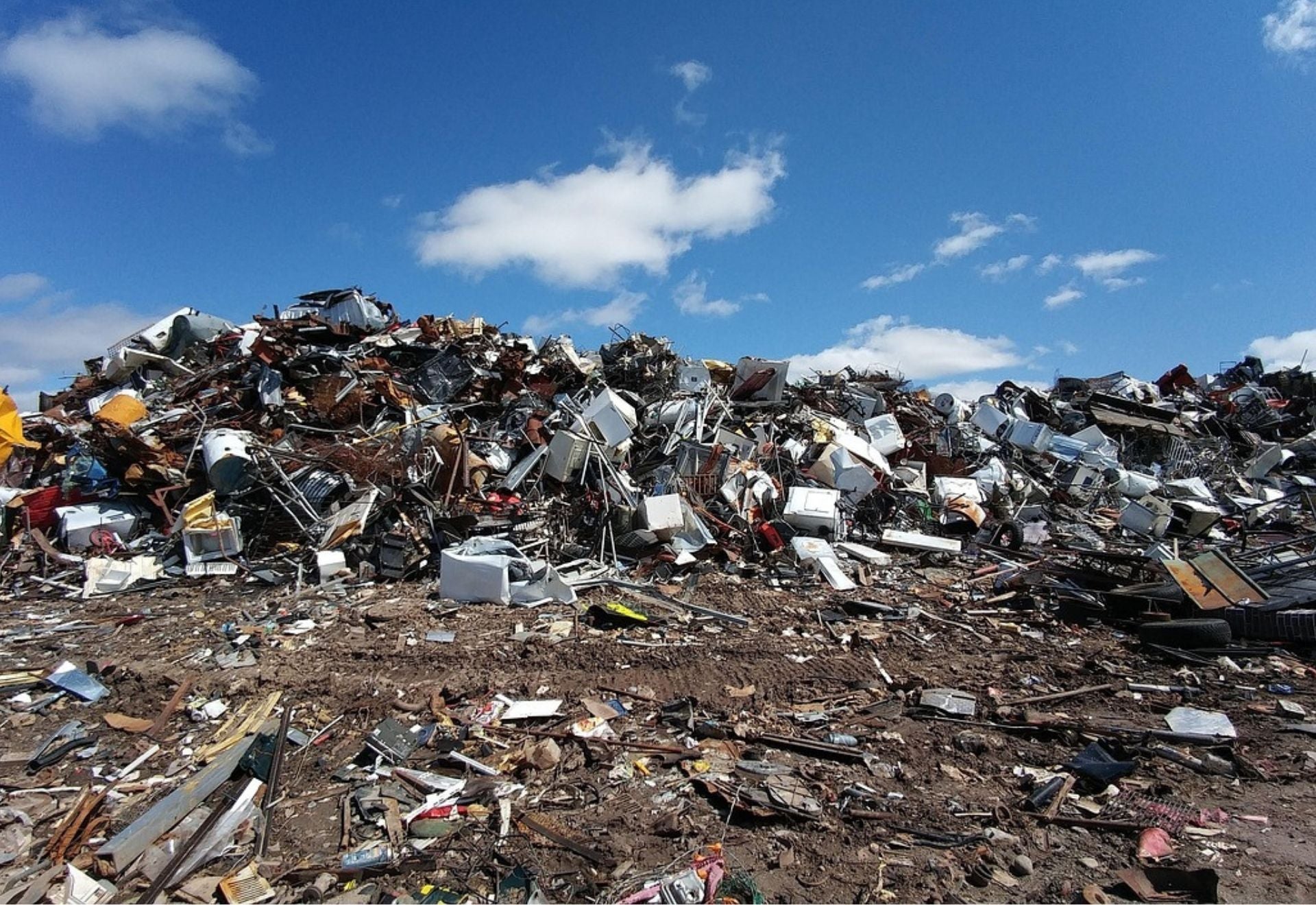 Ton vieux téléphone peut sauver la planète 📱🌍  Greenecco.fr