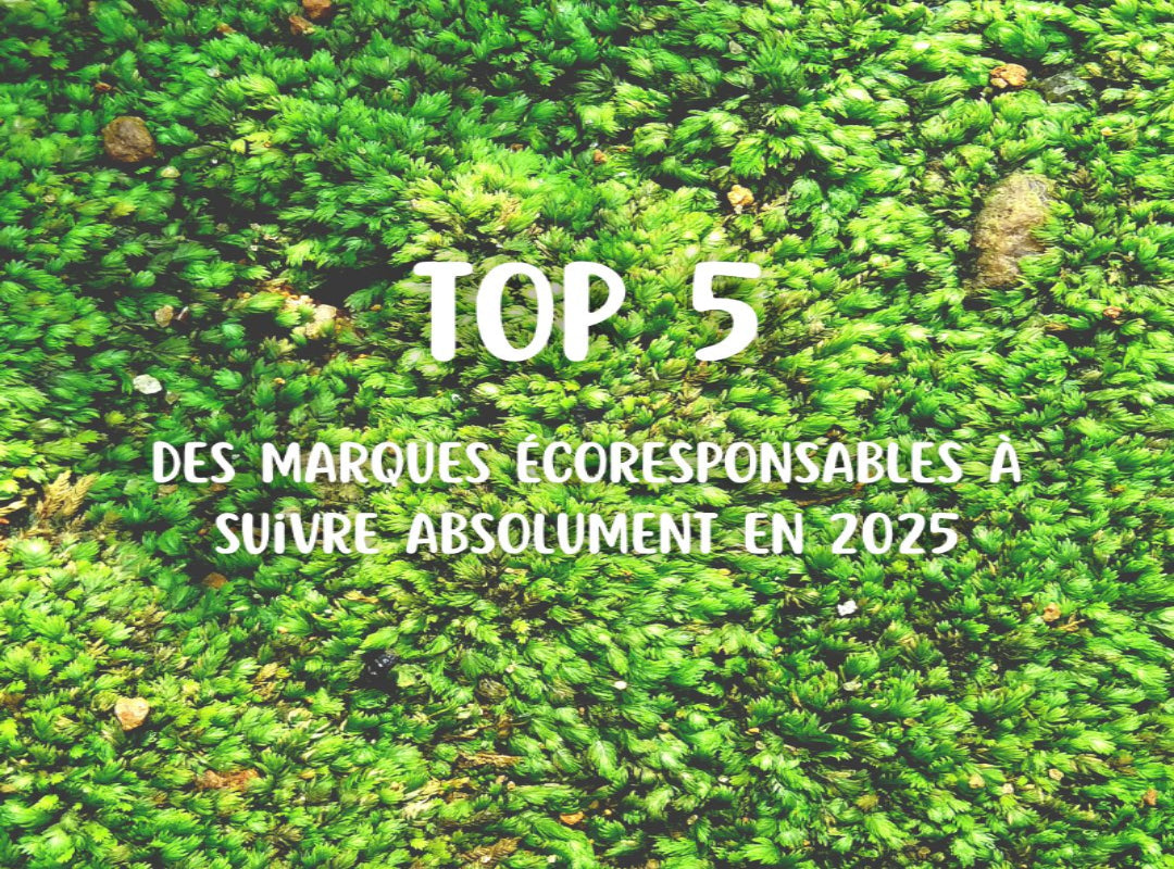 Les 5 marques écoresponsables à suivre absolument en 2025