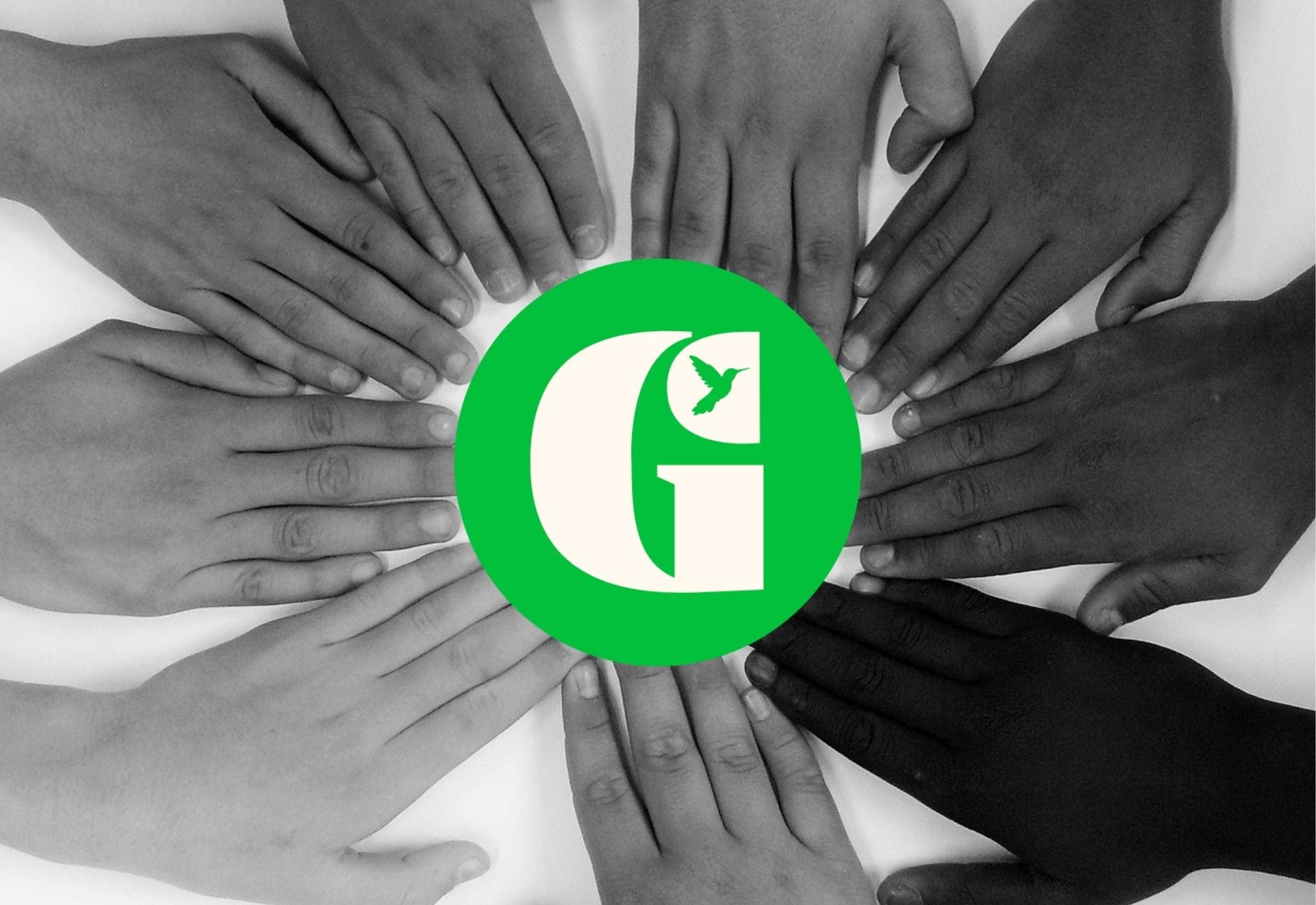 GreenEcco se transforme : vers une écologie plus humaine et un bien-être global  vivre ensemble  aventure collective   inclusion greenecco.fr