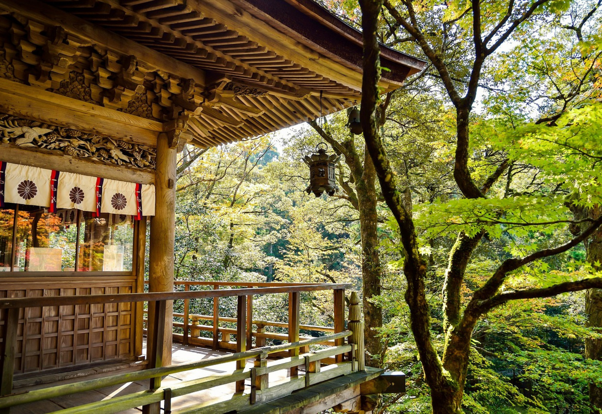 découvrez des idées bien-être à offrir   greenecco.fr