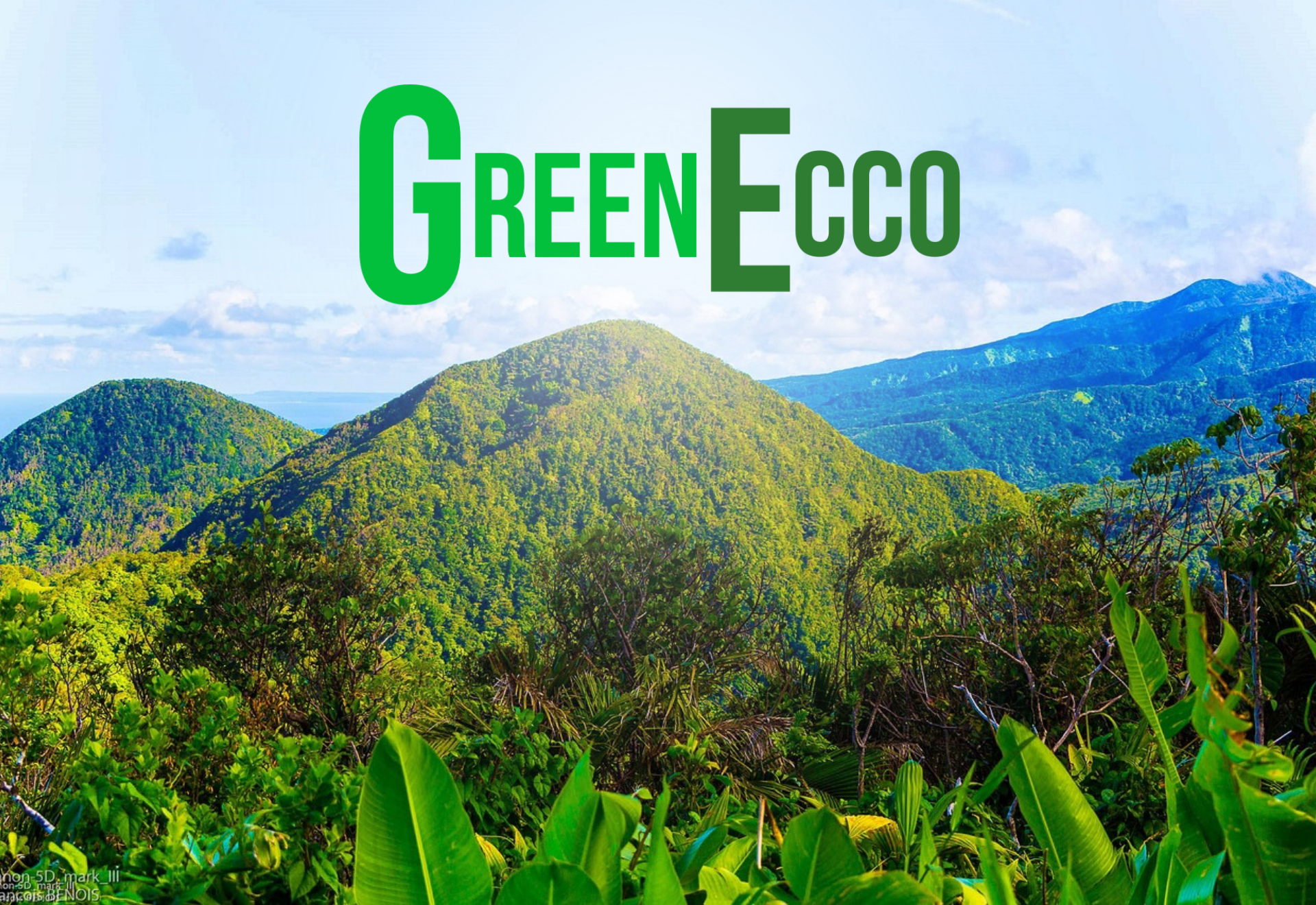 GreenEcco se transforme : vers une écologie plus humaine et un bien-être global