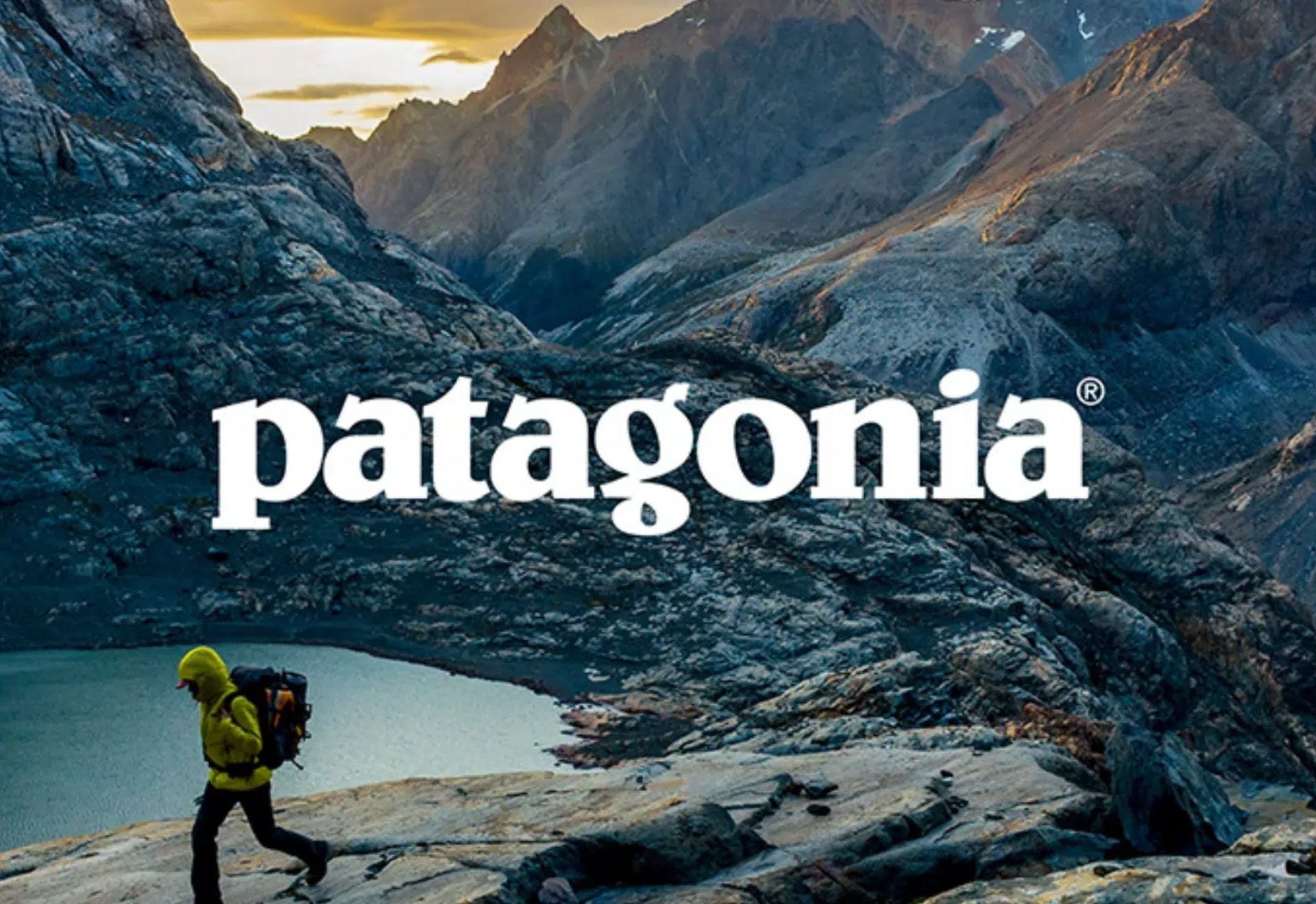 Patagonia il a offert son entreprise à la Terre  greenecco.fr